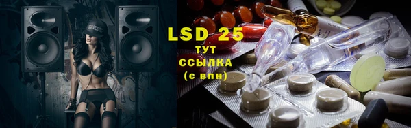 стаф Алзамай