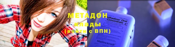 стаф Алзамай