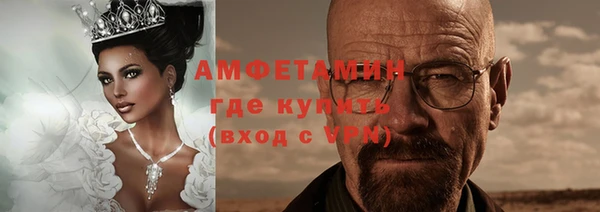 стаф Алзамай