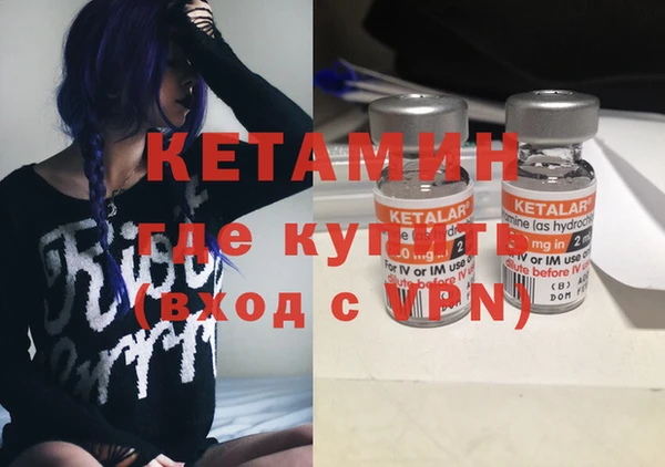 стаф Алзамай